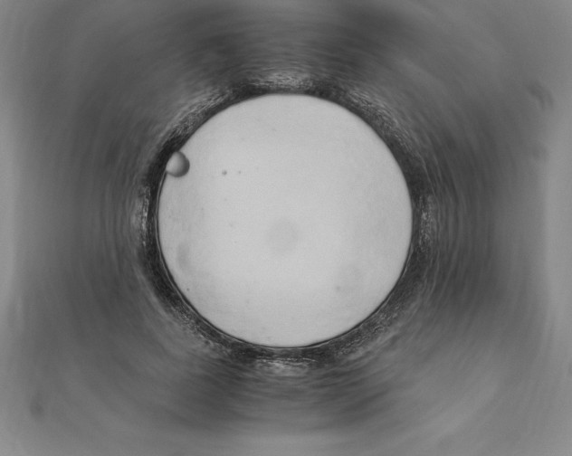 X0000110320739200906181823