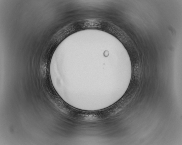 X0000110320741200906181823