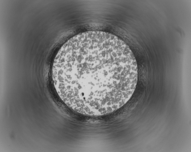 X0000110320742200906181823