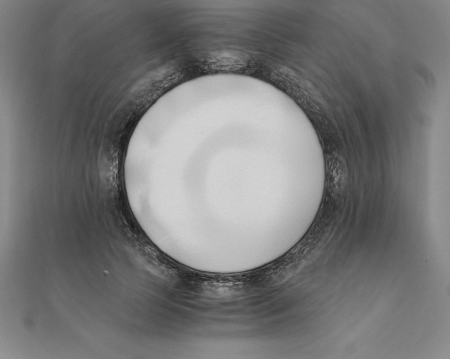 X0000110320745200906181823