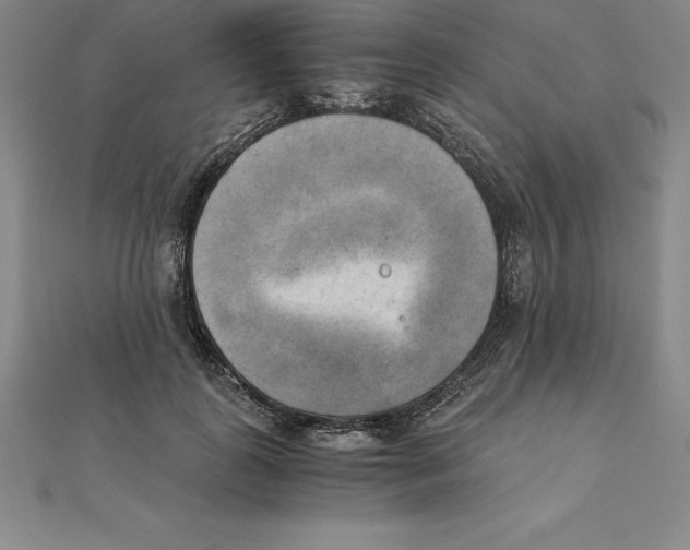 X0000110320747200906181823