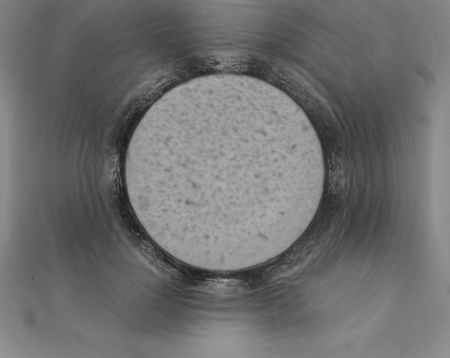 X0000110320748200906181823