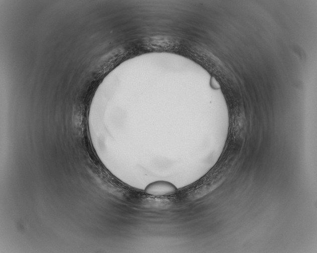 X0000110320749200906181823