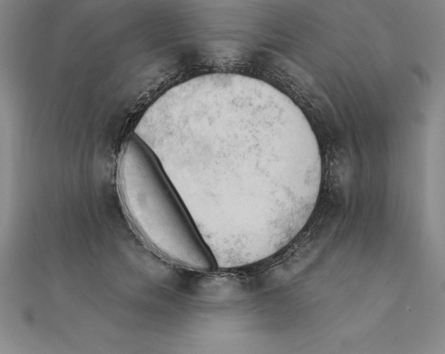 X0000110320750200906181823