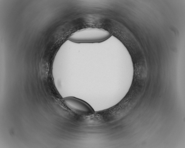 X0000110320752200906181823