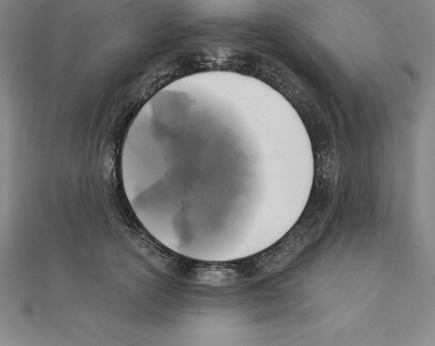 X0000110320754200906181823