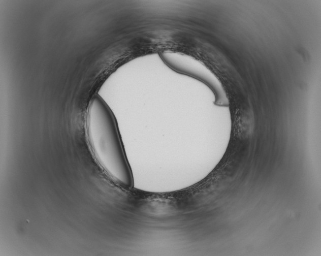 X0000110320756200906181823