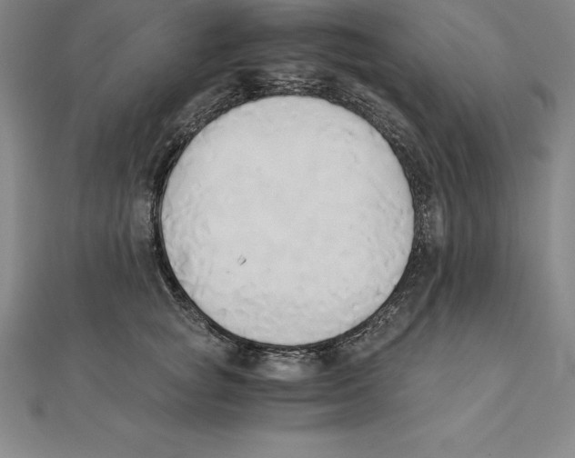 X0000110320757200906181823