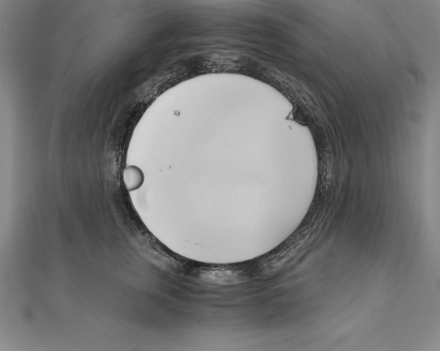 X0000110320759200906181823