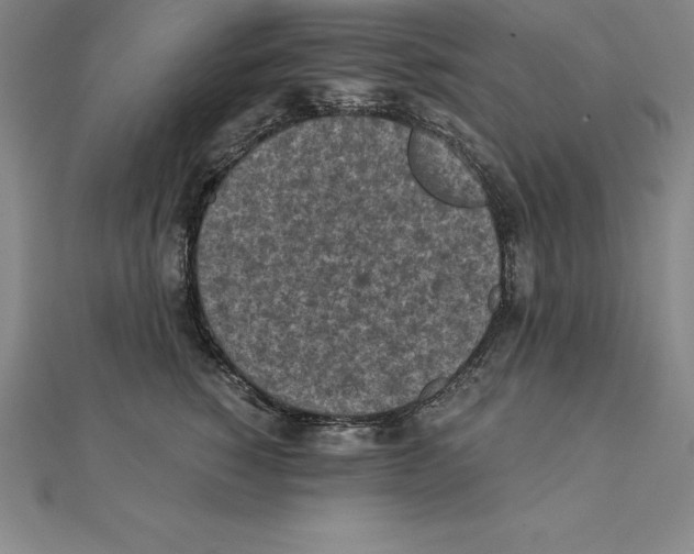 X0000110320760200906181823