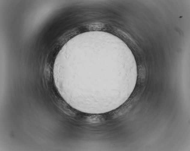 X0000110320761200906181823