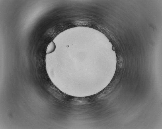 X0000110320763200906181823