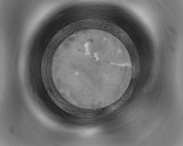 X0000110320765200906181823