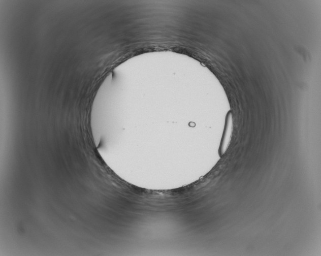 X0000110320768200906181823