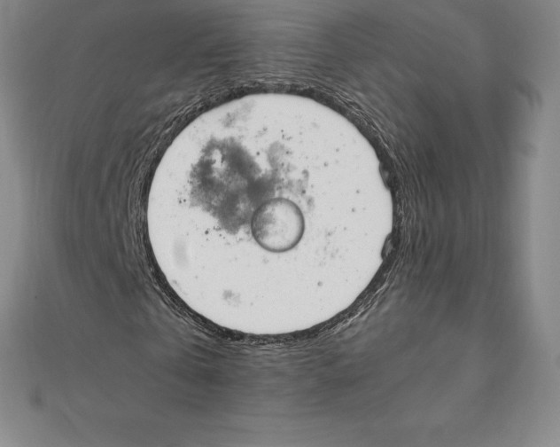 X0000110320769200906181823