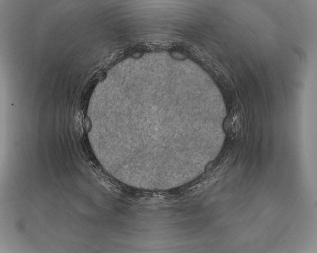 X0000110320772200906181823