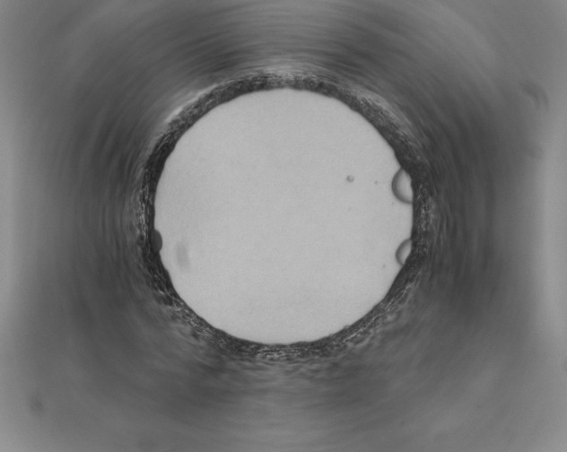 X0000110320776200906181823