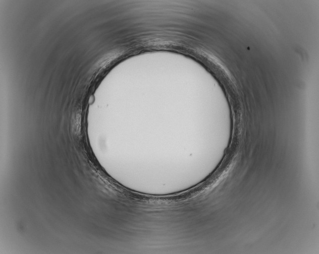 X0000110320777200906181823