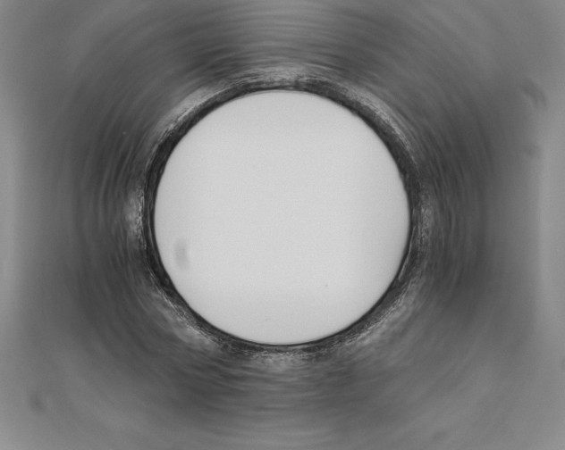 X0000110320778200906181823