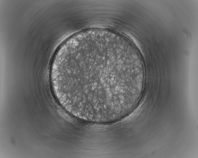 X0000110320779200906181823