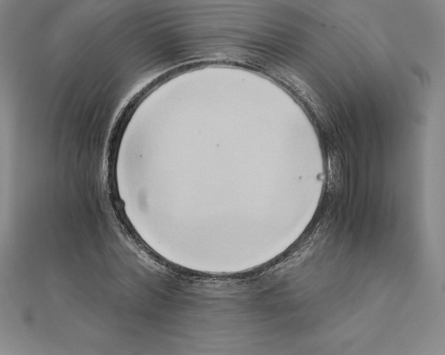 X0000110320780200906181823