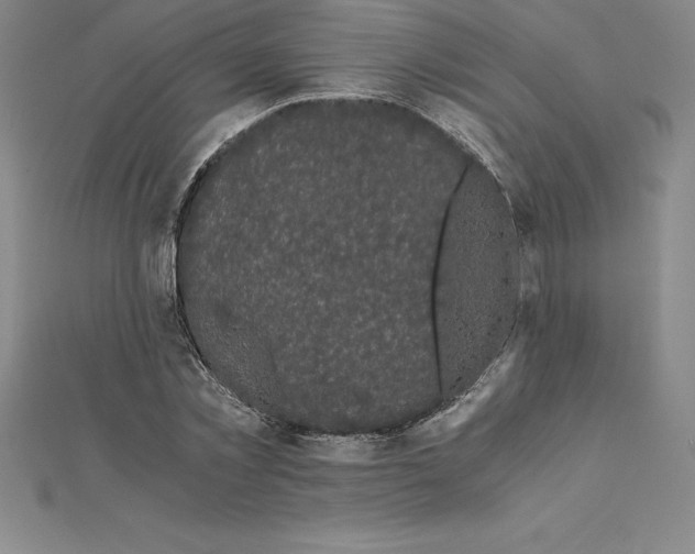 X0000110320781200906181823