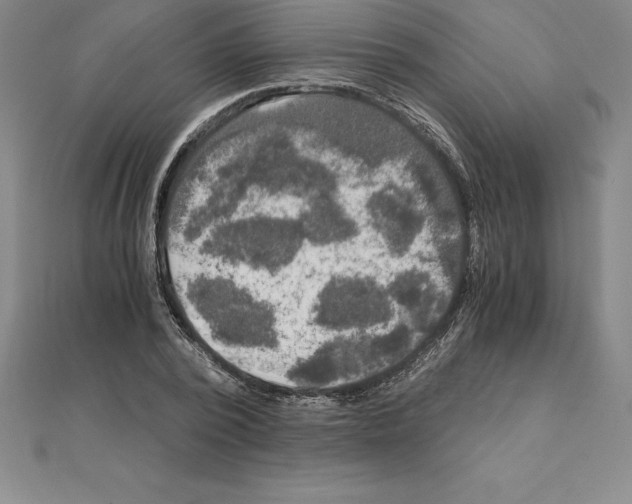 X0000110320784200906181822