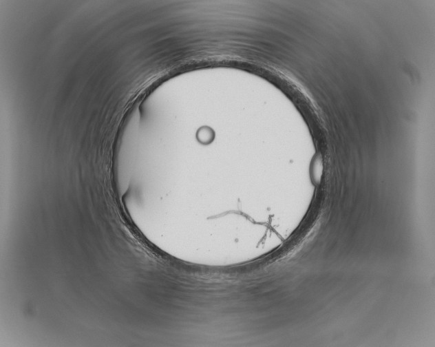 X0000110320785200906181822