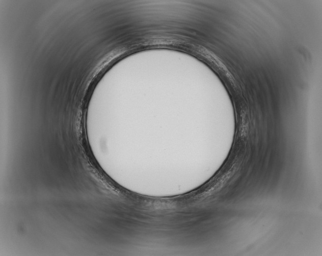 X0000110320786200906181822