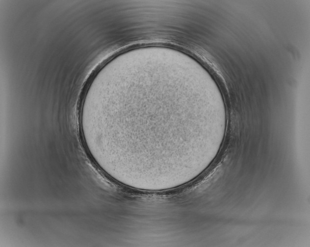 X0000110320789200906181822