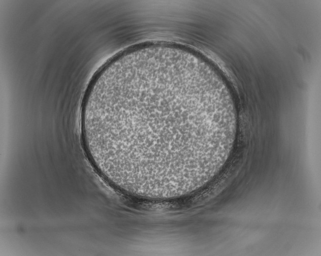 X0000110320791200906181822