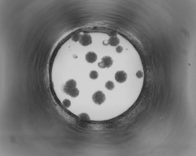 X0000110320792200906181822