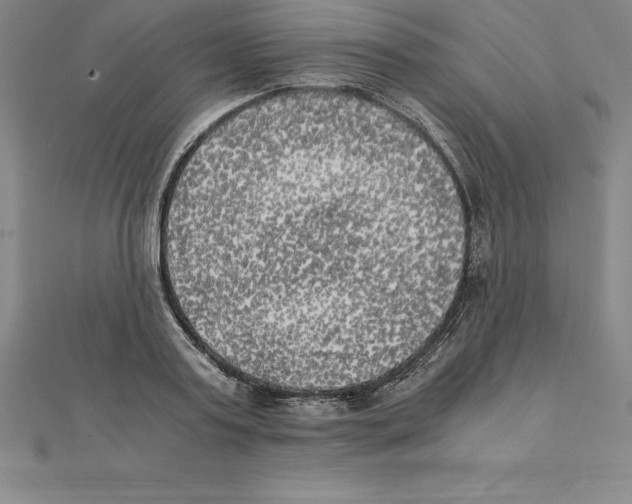 X0000110320795200906181822