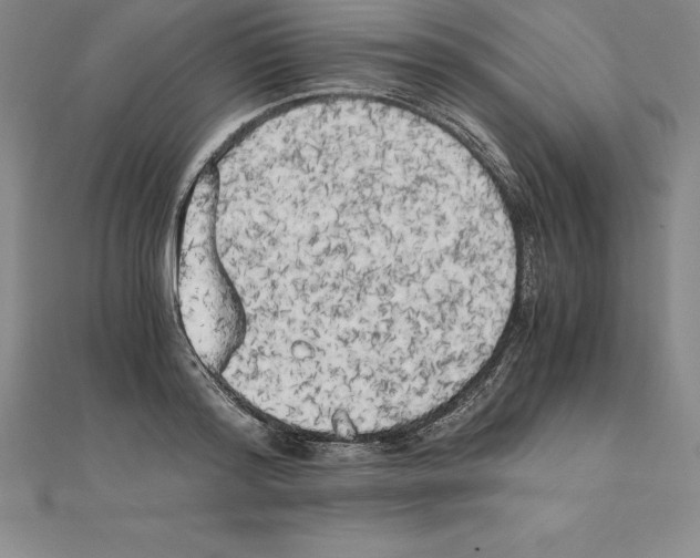 X0000110320796200906181822