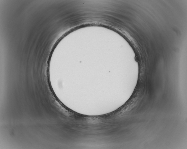 X0000110320799200906181822