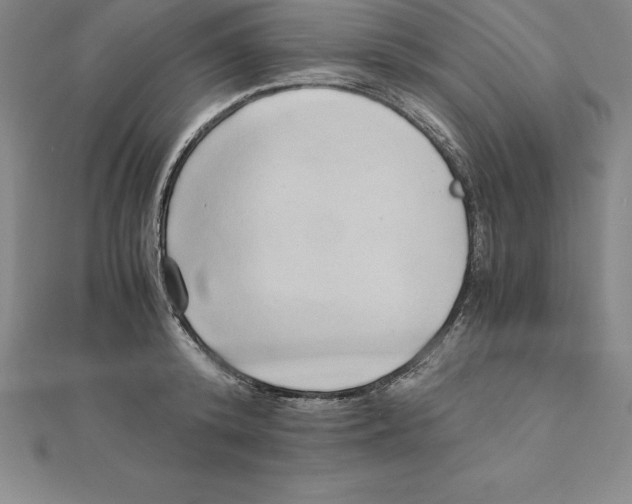 X0000110320800200906181822