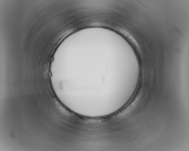 X0000110320801200906181822