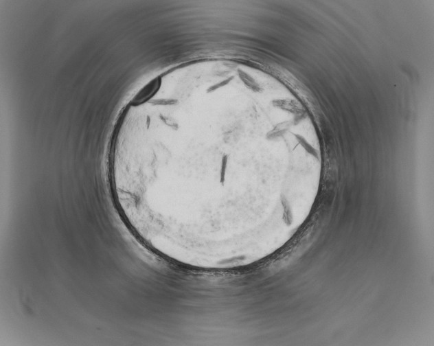 X0000110320803200906181822