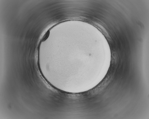 X0000110320804200906181822