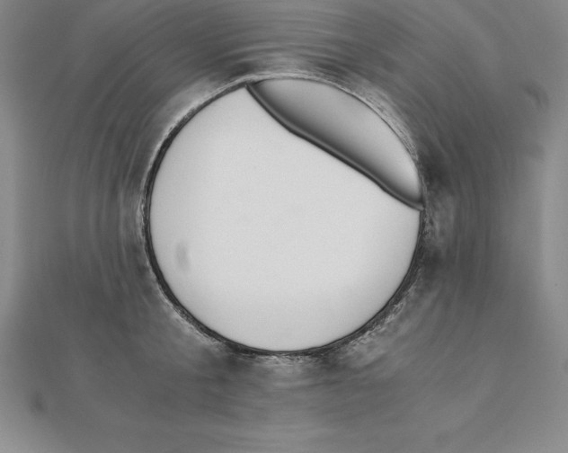 X0000110320805200906181822