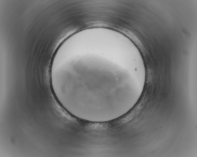 X0000110320806200906181822