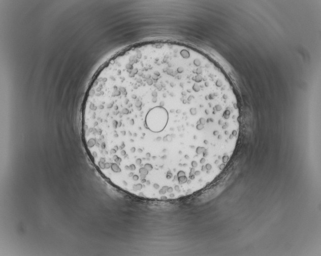 X0000110320807200906181822