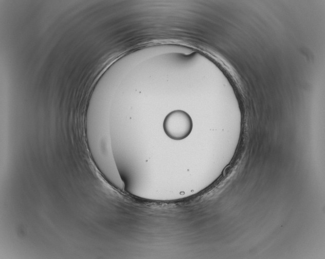 X0000110320809200906181822