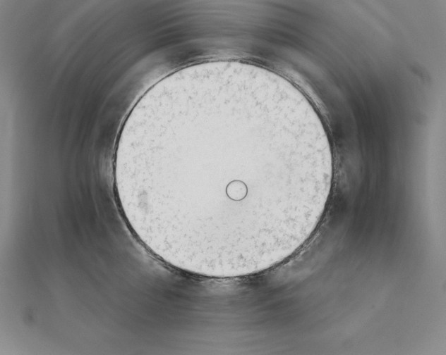 X0000110320810200906181822