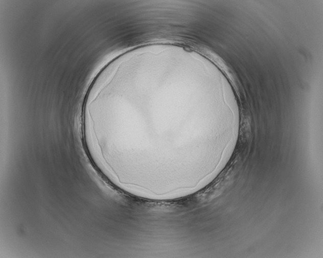 X0000110320811200906181822