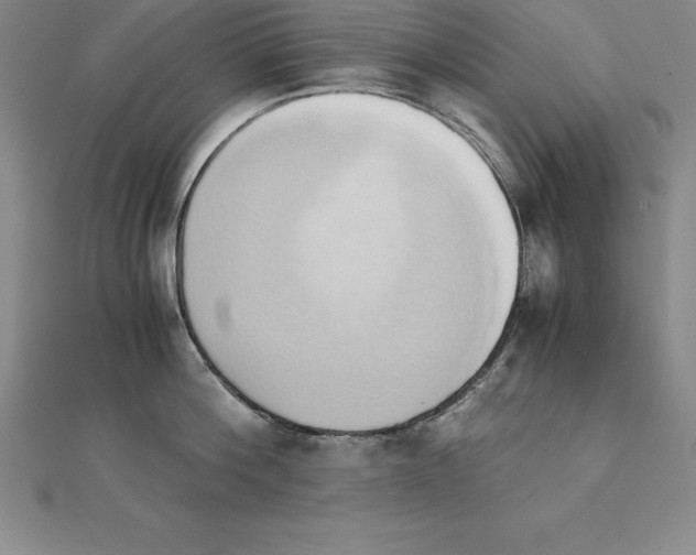 X0000110320812200906181822