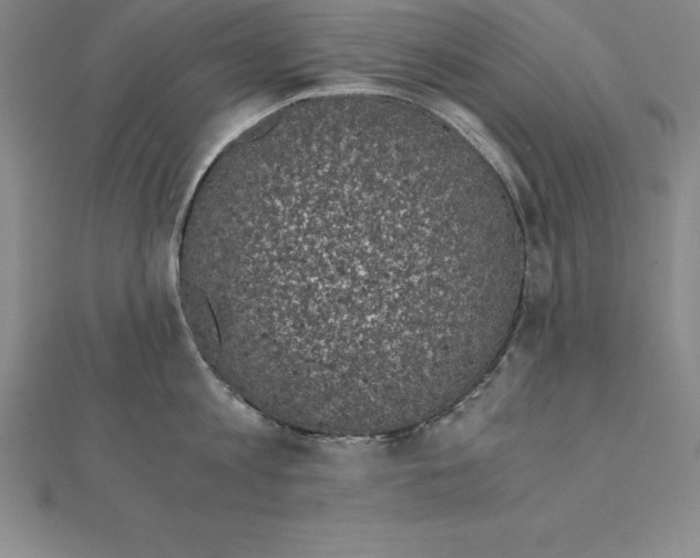 X0000110320813200906181822