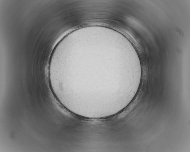 X0000110320814200906181822