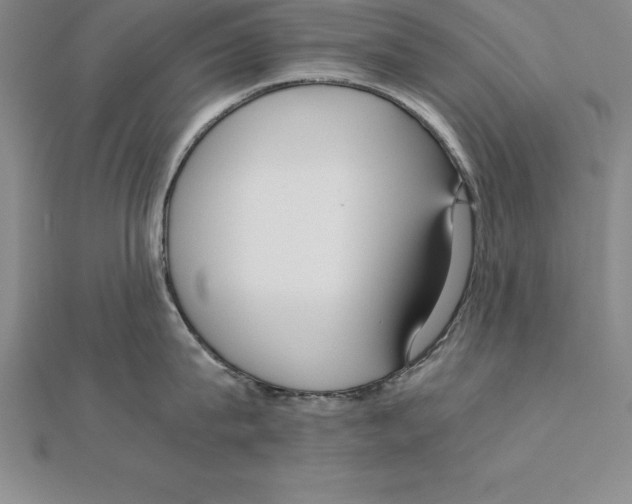 X0000110320815200906181822