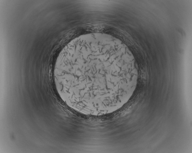 X0000110320818200906181821